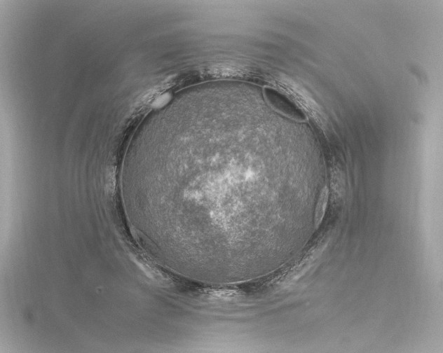 X0000116350401200912011415