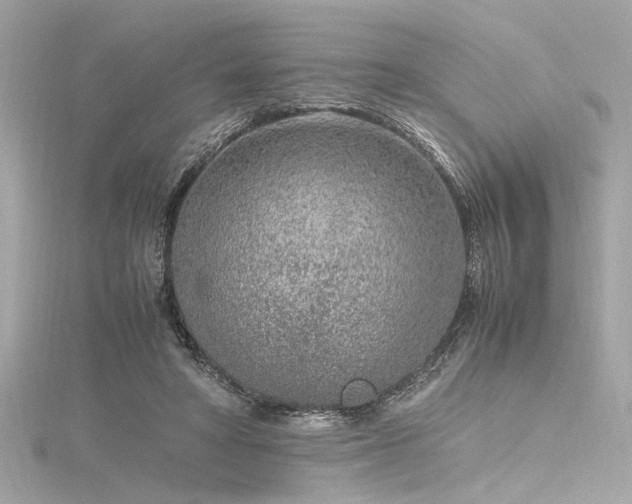 X0000116350402200912011414