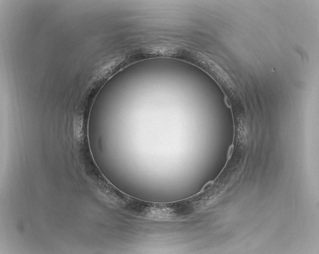 X0000116350403200912011414