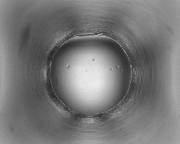 X0000116350404200912011414