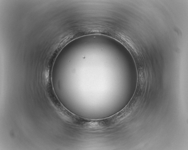 X0000116350406200912011414