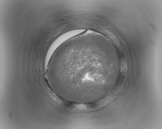 X0000116350409200912011414