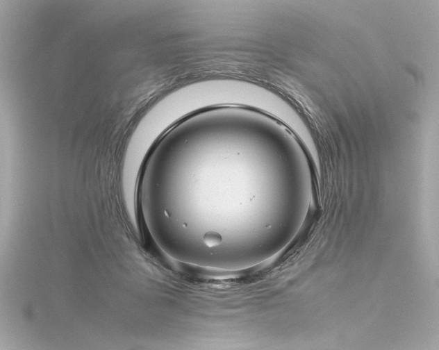 X0000116350411200912011414