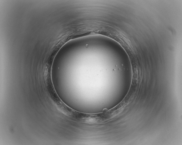 X0000116350412200912011414