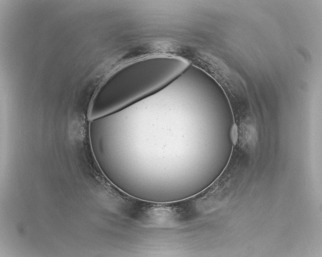 X0000116350413200912011414