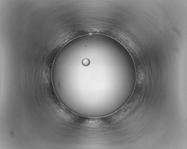 X0000116350414200912011414