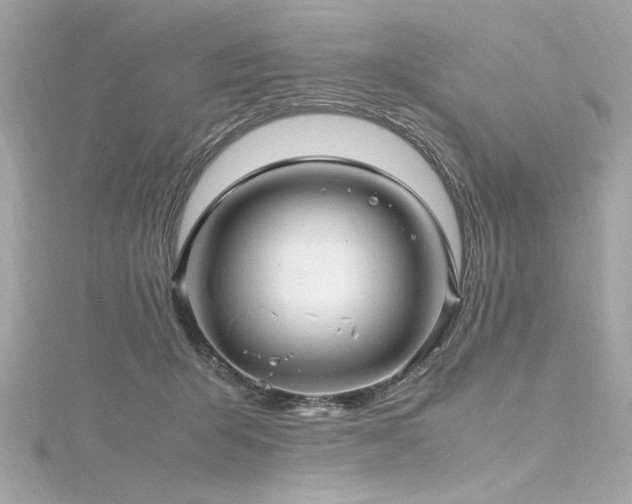 X0000116350415200912011414