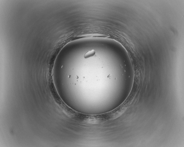 X0000116350416200912011414