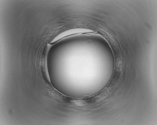 X0000116350417200912011414