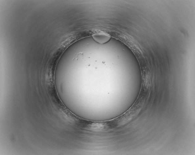 X0000116350418200912011414