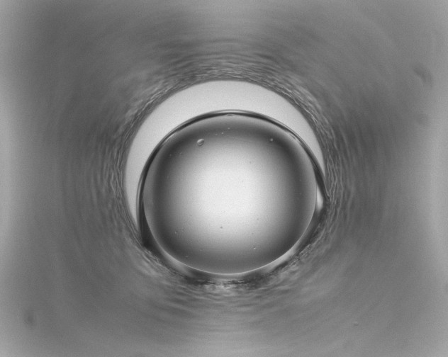 X0000116350419200912011414