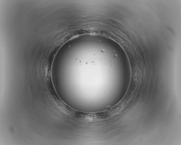 X0000116350420200912011414