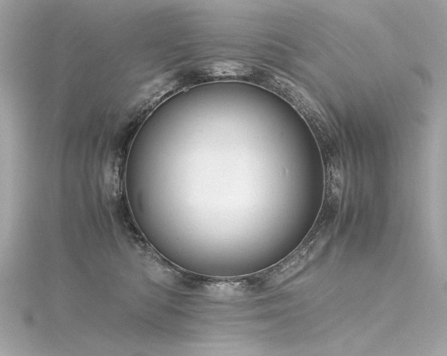 X0000116350422200912011414