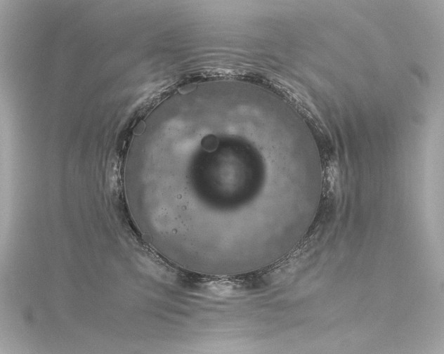 X0000116350423200912011414