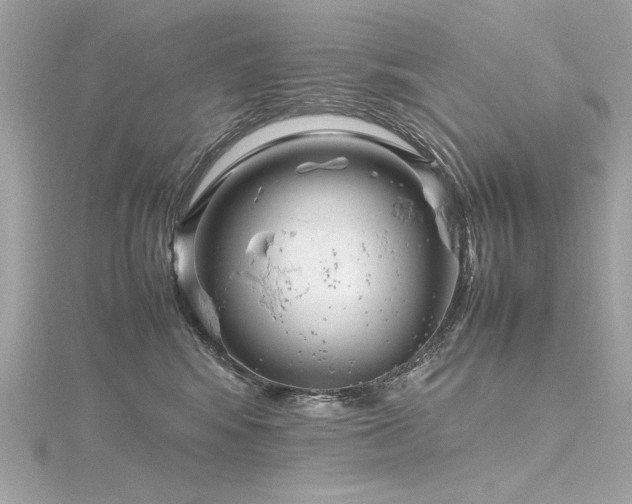 X0000116350424200912011414