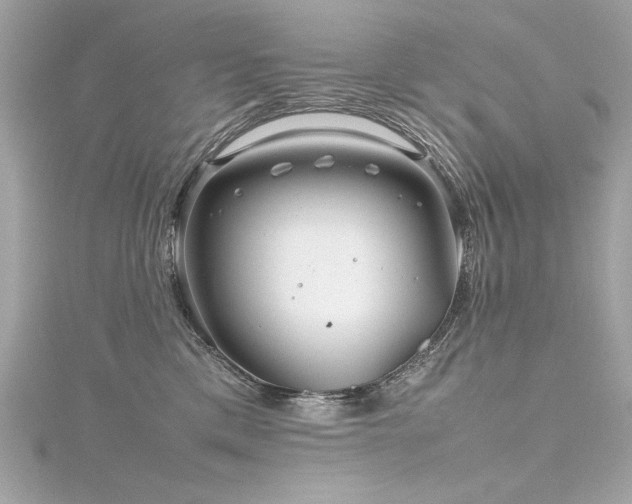 X0000116350425200912011414