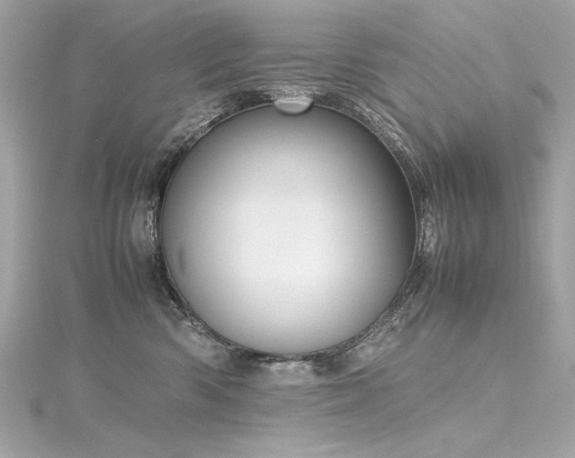 X0000116350426200912011414