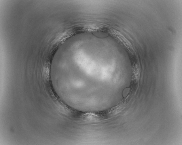 X0000116350427200912011414