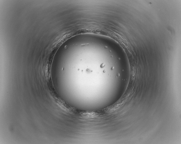 X0000116350428200912011414