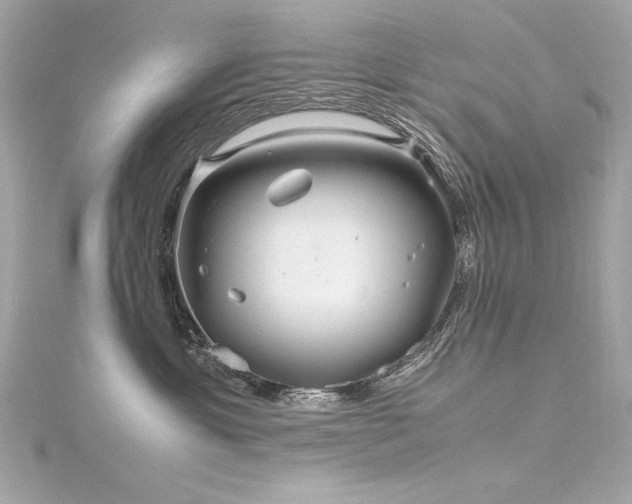 X0000116350429200912011414