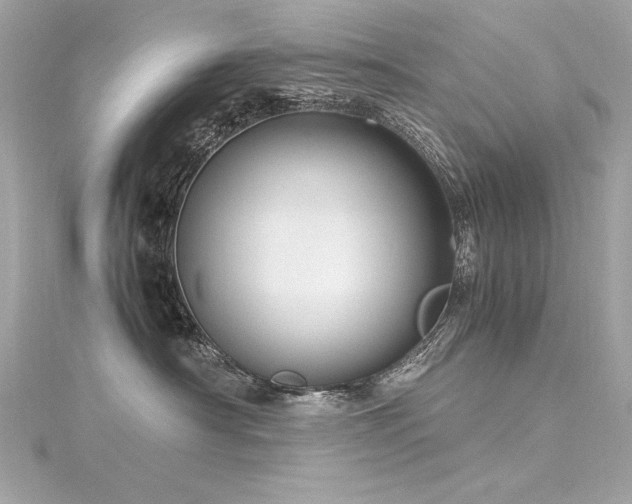 X0000116350430200912011414