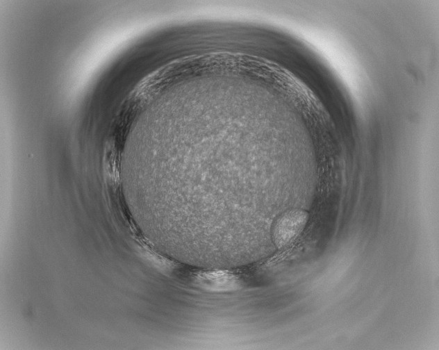 X0000116350431200912011414