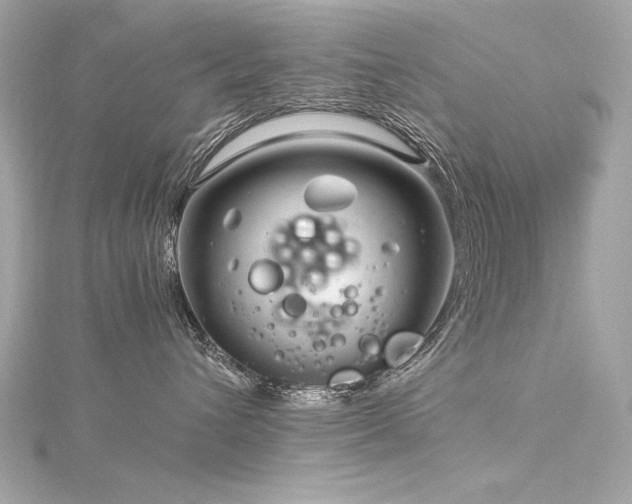 X0000116350432200912011414