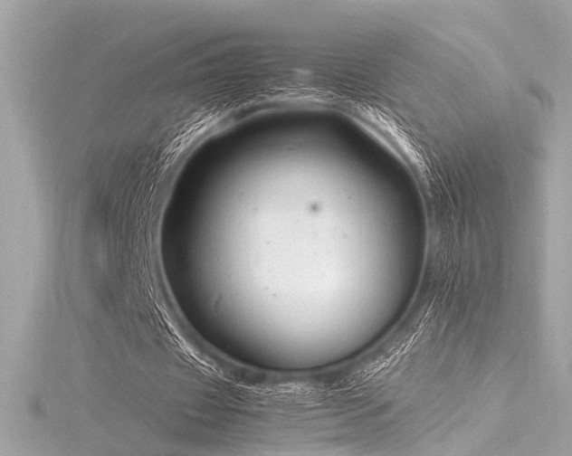 X0000116350433200912011413