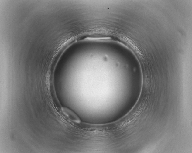 X0000116350434200912011413