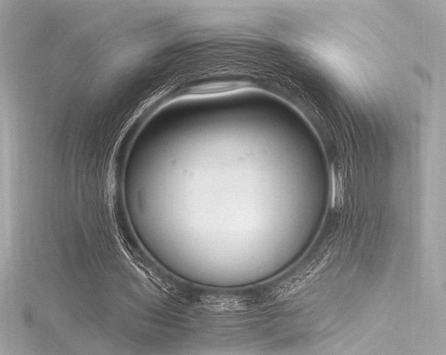 X0000116350435200912011413