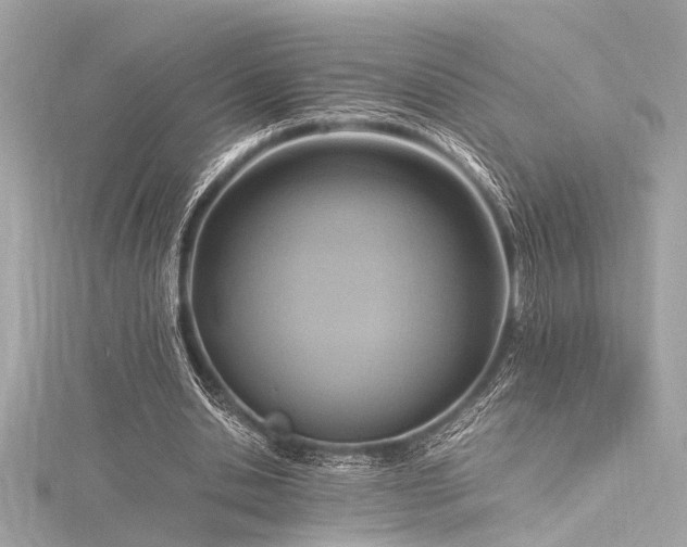 X0000116350438200912011413