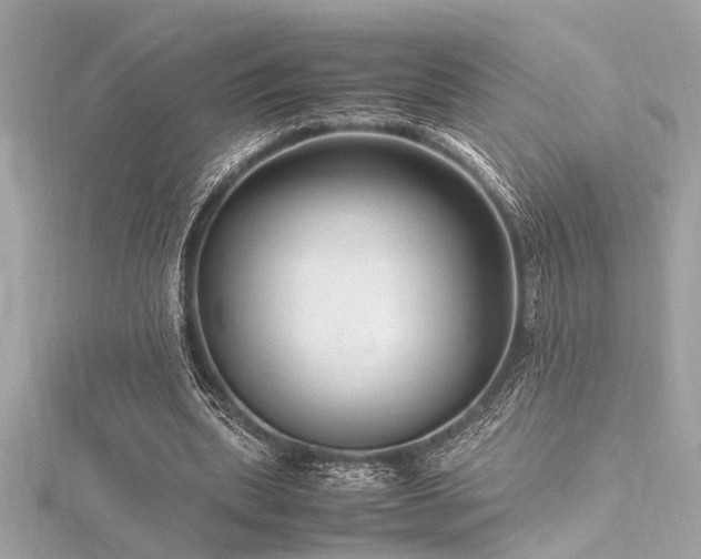 X0000116350439200912011414