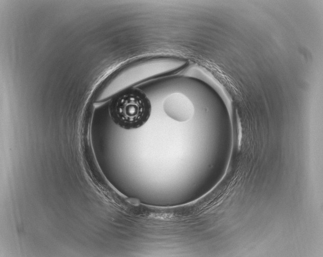 X0000116350440200912011414