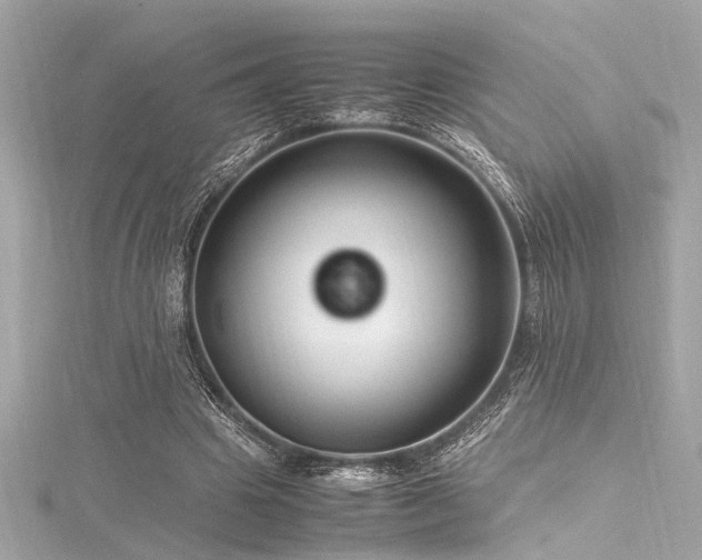 X0000116350441200912011414