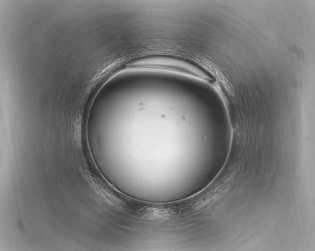 X0000116350442200912011414