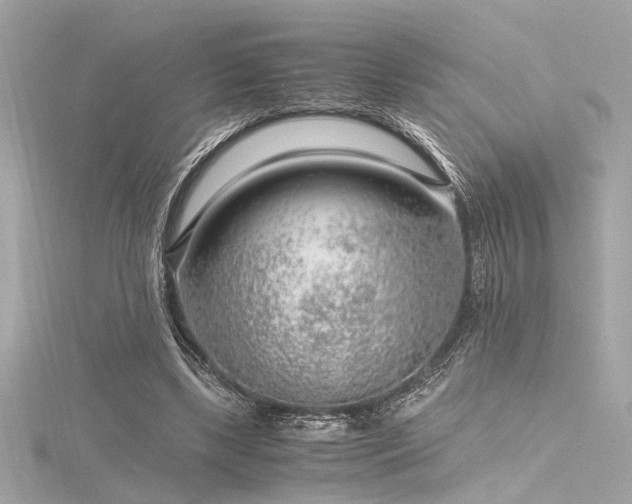 X0000116350443200912011414