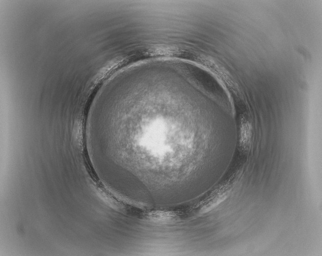 X0000116350444200912011414