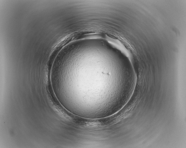 X0000116350446200912011414