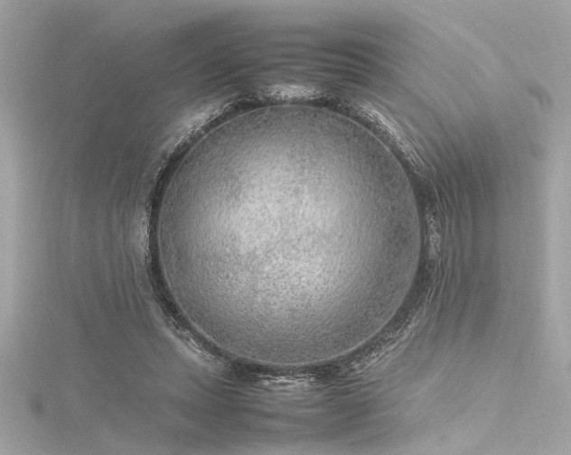 X0000116350447200912011414