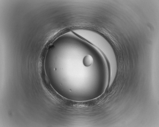 X0000116350448200912011414