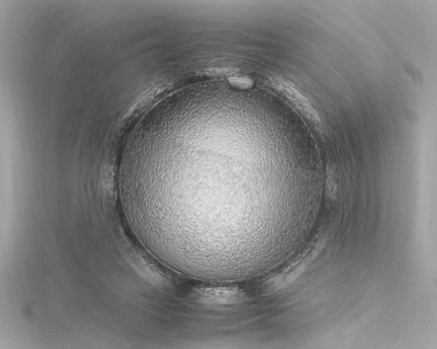 X0000116350449200912011414