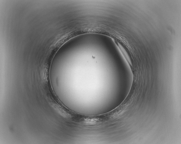 X0000116350450200912011414