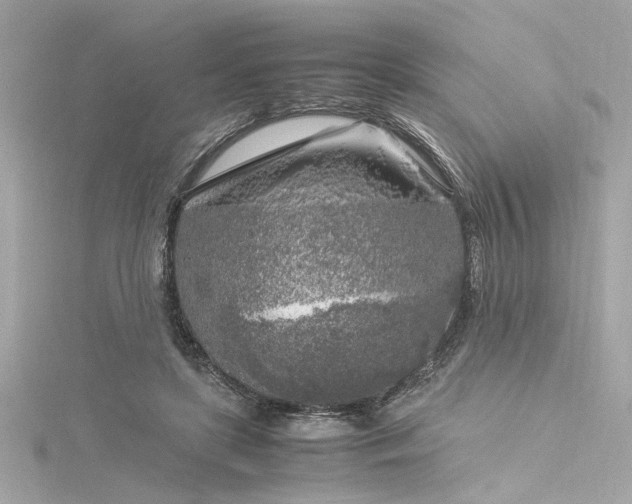 X0000116350451200912011414