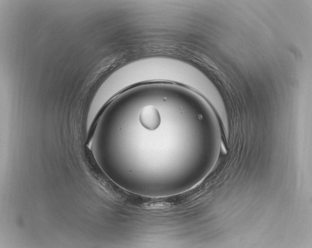 X0000116350452200912011414