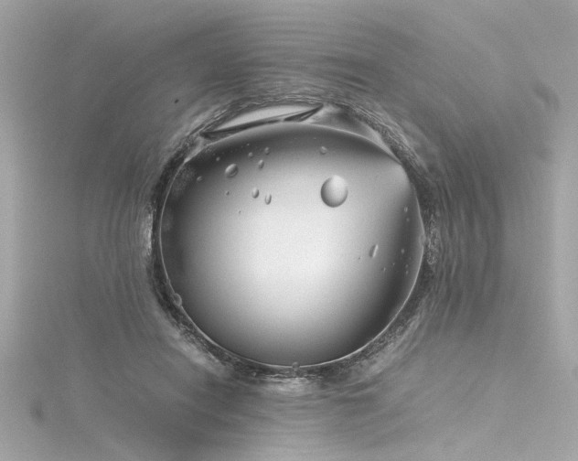 X0000116350454200912011414