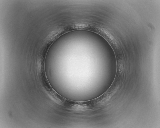 X0000116350455200912011414