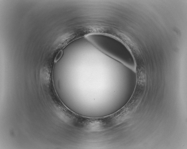 X0000116350456200912011414