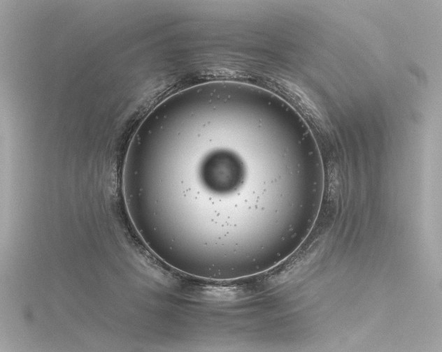 X0000116350457200912011414