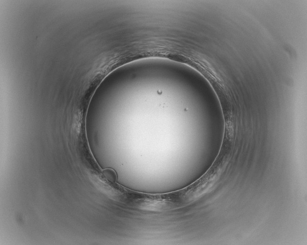 X0000116350458200912011414