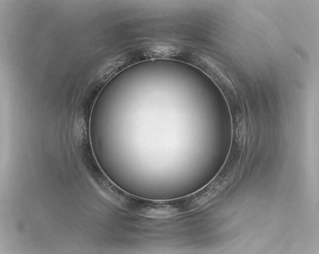 X0000116350459200912011414